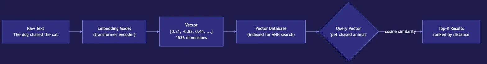 Embeddings: How AI Understands Meaning in Text